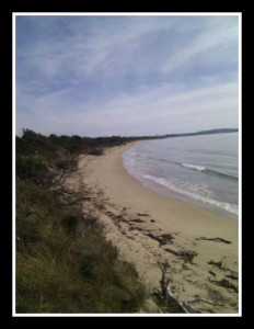 beach-walk